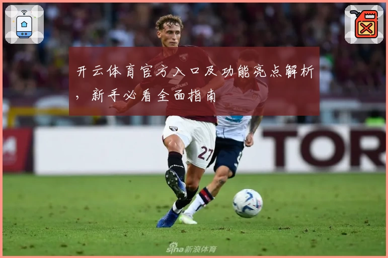 开云体育官方入口及功能亮点解析，新手必看全面指南