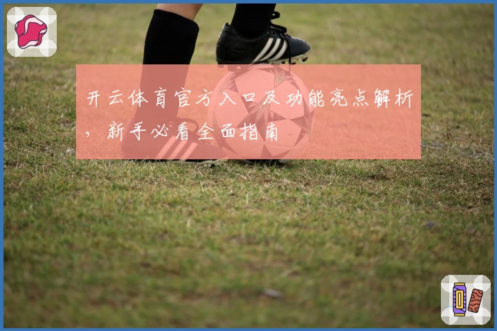 开云体育官方入口及功能亮点解析，新手必看全面指南