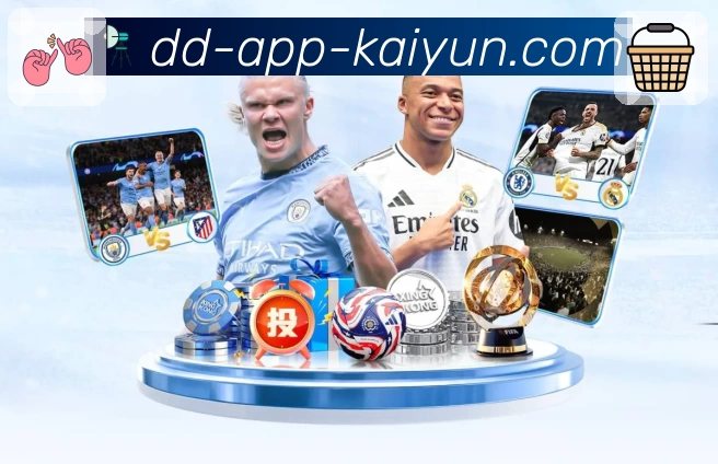 App Interface Preview